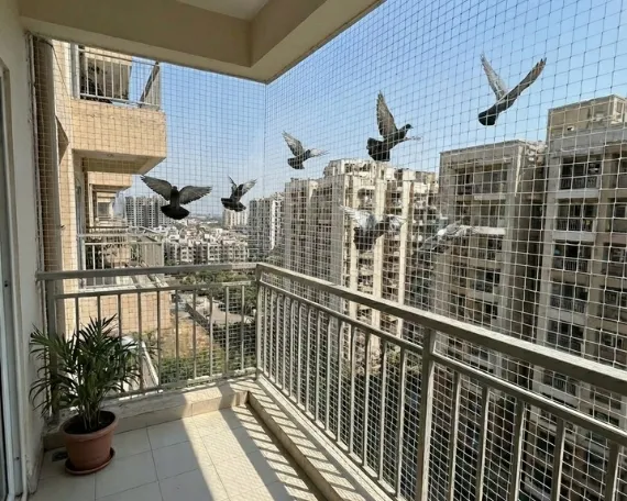 Pigeon Safety Nets Expert Kanakapura Road